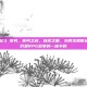 龙腾世纪3 审判，审判之名，抉择之重，为何龙腾世纪3至今仍是RPG叙事的一座丰碑