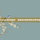 Steam游戏推荐，探索游戏世界的无限可能