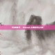 兄弟联手，Steam上的冒险之旅