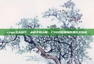 csgo怎么放个，从新手到大师，CSGO投掷物放置完全指南