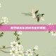 和平精英队员掉线应对策略