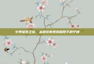冬季探索之旅，从银装素裹到暖阳下的宁静