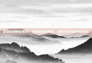 王者荣耀的铅笔袋，王者荣耀铅笔袋，游戏与学习的创意融合