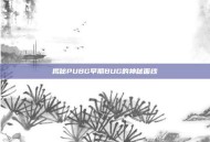 揭秘PUBG早期BUG的神秘面纱