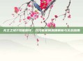 无主之地2技能翻译,双技能机制深度解析与实战应用