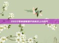 2022年英雄联盟手游高效上分技巧