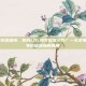 lol账号价值查询，你的LOL账号值多少钱？一文读懂LOL账号价值查询的真相
