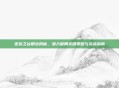 逆袭之谷刷法揭秘,潜入破局关键策略与实战指南
