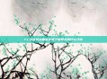 CF游戏选择曲面还是平面模式的比较分析