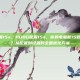 pubg配置15s，PUBG配置15s，你的电脑能15秒进游戏吗？从配置到设置的全面优化方案