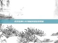 无双乱舞6.62隐藏英雄密码揭秘