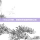Steam光晕，隐藏游戏宝藏的探索之旅