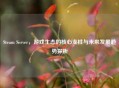 Steam Server，游戏生态的核心支柱与未来发展趋势探析