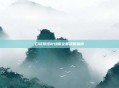 口袋妖怪叶绿版全面攻略指南