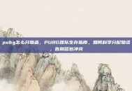 pubg怎么分物品，PUBG团队生存指南，如何科学分配物资，告别舔包冲突
