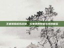 王者荣耀虚拟战场，玩家间的较量与竞技体验