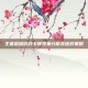 王者荣耀游戏卡顿现象分析及应对策略