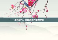 暴风精气，揭秘精神力量的奥秘