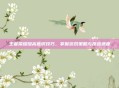 王者荣耀提高意识技巧,掌握游戏策略与反应速度