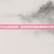 Steam购买指南，数字游戏平台的全面使用与分析