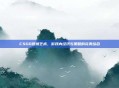 CSGO摆摊艺术,游戏内经济与策略的完美结合