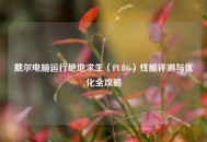 戴尔电脑运行绝地求生（PUBG）性能评测与优化全攻略