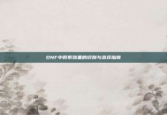 DNF中假紫装备的识别与选择指南