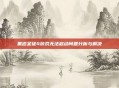 黑道圣徒4游戏无法启动问题分析与解决
