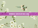 神雕侠侣2最新奇遇攻略大揭秘