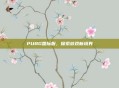 PUBG国际服，探索游戏新境界