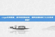 csgo完美数据，数字背后的战场，如何读懂你的CS:GO完美数据？
