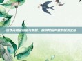 游戏内隐藏财富与荣耀,肩膀附魔声望的探索之旅