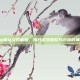 Steam默认文件解析，揭开游戏和软件存储的神秘面纱