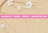 油性皮肤护理，告别油光，拥抱清爽，油性皮肤护理全攻略