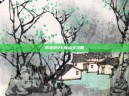 男柔道PK加点全攻略