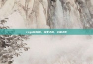 csgo贴在镜，镜中之敌，心魔之影