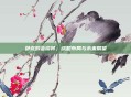 卧龙吟会谈将，战略布局与未来展望