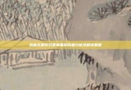 热血无赖游戏遭遇黑屏问题分析及解决策略