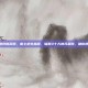 辐射3攻略最好的武器，废土求生指南，辐射3十大神兵利器，助你横扫首都废土