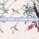 李晨亮，李晨亮，在无声世界里点亮科技之光