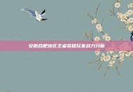 安徽合肥地区王者荣耀玩家战力分析