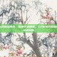 cf配色方案自动修改，告别手动调整，CF配色方案自动修改的技术突破