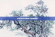 轩辕传奇药师奥义深度解析