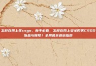 怎样在网上买csgo，新手必看，怎样在网上安全购买CSGO饰品与账号？全网最全避坑指南