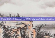 Pluto DNF: A Journey of Difficulty and Determination