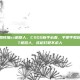 csgo如何加ct机器人，CSGO新手必看，手把手教你添加CT机器人，练枪打靶不求人