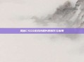 揭秘CSGO游戏内照片的制作与应用