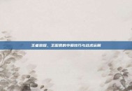 王者荣耀，王昭君的华丽技巧与战术运用