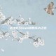 战地五Steam销售成功之道