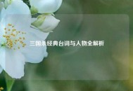 三国杀经典台词与人物全解析